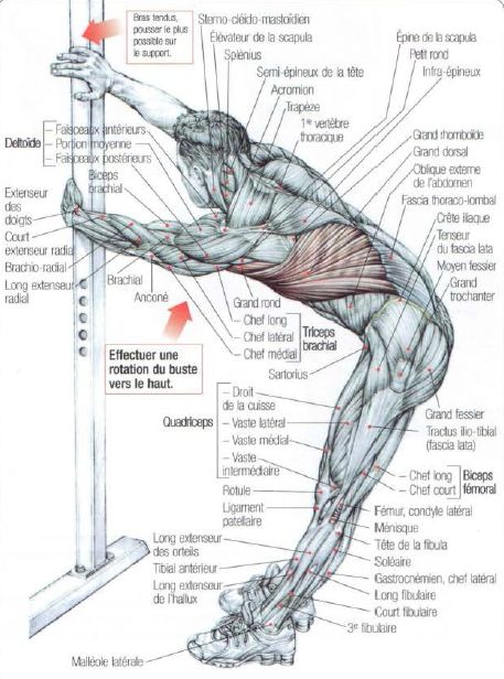 Stretching Latissimus Dorsi And Teres Major • THE stephane ANDRE