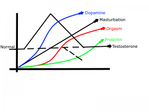 chart masturbation dopamine orgasm prolactin testosterone