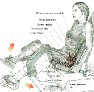 seated machine hip abductions