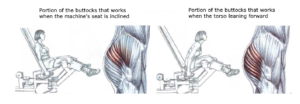 seated machine hip abductions variations torso forward