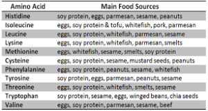 amino acids food source