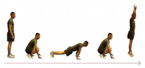 Burpee