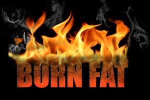 burn fat