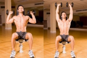 Seated Dumbell Clean