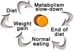 diet cycle