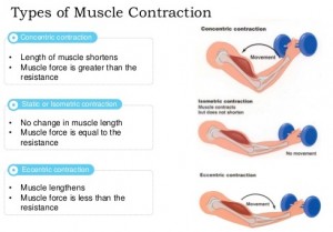 level contraction 