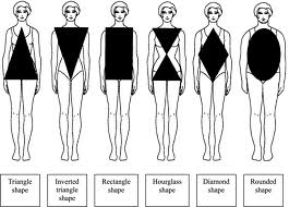 ideal body shape female