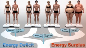 energy balance