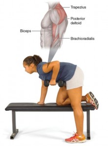 shoulder exercice row