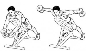 Dumbell Reverse Flyes