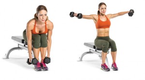 seated lateral raise