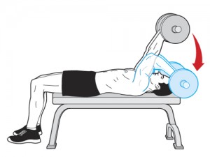 Barbell Lying Triceps Extension