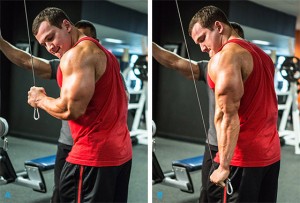 one arm ticeps pushdown