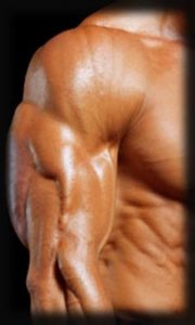 tricep