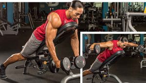 Dumbbell Lying Rear Lateral Raise