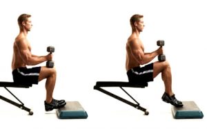 dumbbell seated calves raise