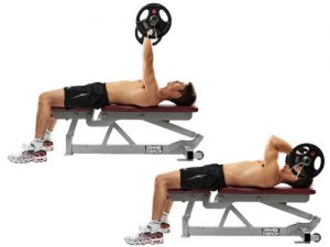 Lying Barbell Triceps Extension 