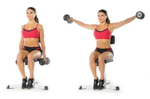 seated dumbbell lateral raise 