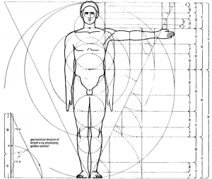 body golden ratio