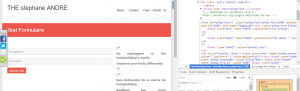 mailchimp for wordpress plugin screenshot