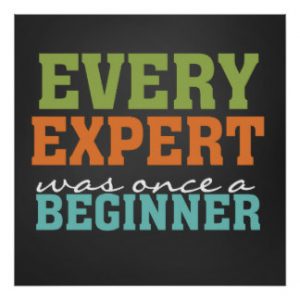 beginner expert