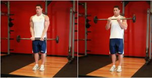 close grip barbell curls