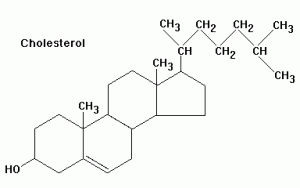 cholesterol