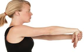 stretching wrist extensor muscle