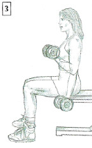 dumbbell curl anatomy