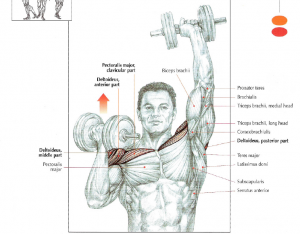 One Arm Dumbbell Press • Stephane Andre