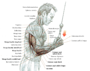 reverse pushdown anatomy