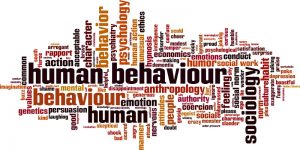human behaviour