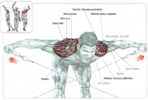 low pulley bent over lateral raises