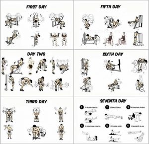 gym training program