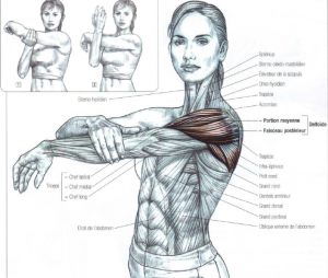 shoulder stretching