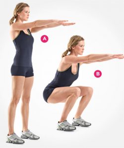 bodyweight squat