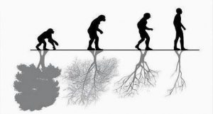 evolution human being nature tree