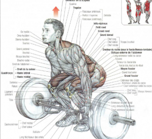 trap bar deadlift