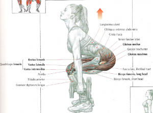 dumbbell squat