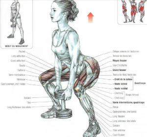 dumbbell sumo squat