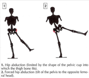 Cable Hip Abductions