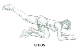 floor hip extension