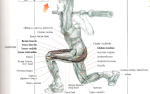 lunges barbell
