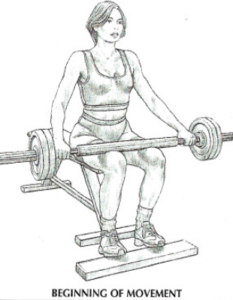 seated barbell calf raises