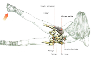 foor hip abductions