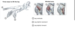 foor hip abductions leg vertically backward forward