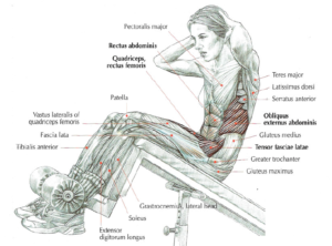 incline bench sit ups