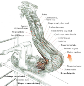 incline leg raises