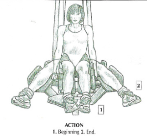 seated machine hip abductions