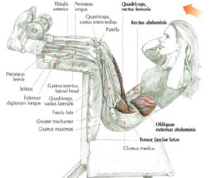 specific bench sit up